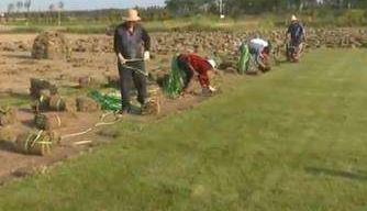 农业农村部将采取五方面举措扩大返乡留乡农民工就业