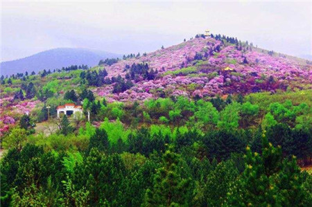 齐齐哈尔市碾子山区打造司法调解品牌“山”型新模式