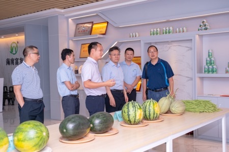 周云龙鼓励海南富友公司以“品牌化”引领现代种业提质增效