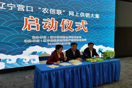 “营菜品鉴”“消费扶贫”“直播带货”“网红打卡” 辽宁营口开展“农创联”网上供销大集主题活动