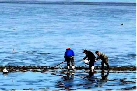 &ldquo;水清 岸绿 滩净&rdquo;辽宁省启动了渤海综合治理攻坚战