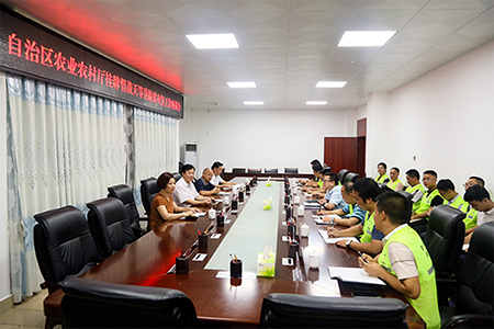 广西天等县积极发展种养产业 脱贫攻坚成效显著