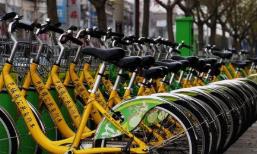 中国自行车在欧美遭抢购，国产单车的春天来了？