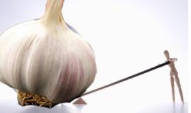 &ldquo;蒜你狠&rdquo;为啥跌得有点狠？听听专家怎么说