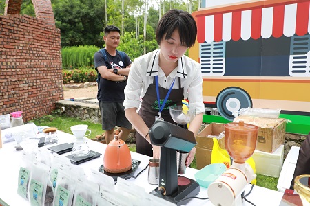 海南定安：香草田园共享咖啡盛宴