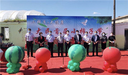 突出特色富民强区 齐齐哈尔市龙沙区首届“小柿子节”开幕