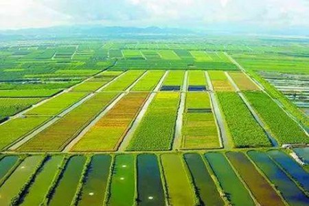 阜新市农业产业化联合体蓬勃发展