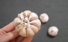 大蒜价格再遇“过山车” 任性的“蒜盘”咋稳住？