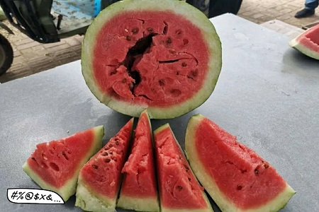 支部书记杨树军的扶贫情结和瓜农吕斌的甜蜜事儿