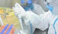 31省份新增确诊病例12例 其中本土病例7例均在北京