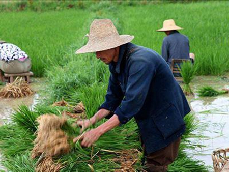 黑龙江启动转移就业专项行动 给&ldquo;挂锄期&rdquo;百万农民找活儿