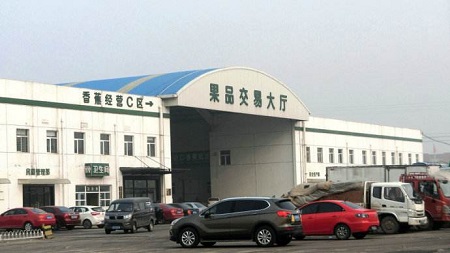 北京4个农副产品批发市场已暂停零售 只接受批发