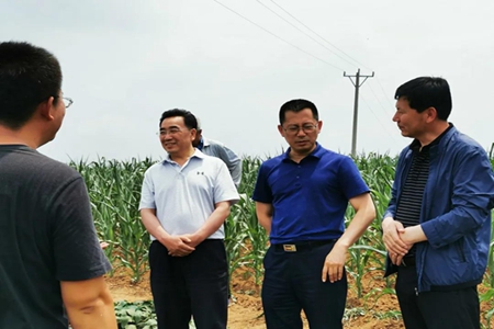 辽宁省新材料工程中心侯慧明主任一行到建昌县调研