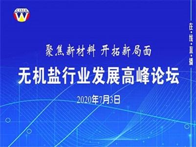 中国无机盐工业协会“无机盐发展高峰论坛”线上成功举办