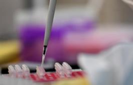 北京新增本地确诊病例1例 无症状感染者1例