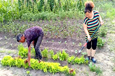 贫困户王树军脱贫又娶媳妇 多亏&ldquo;帮贫人&rdquo;