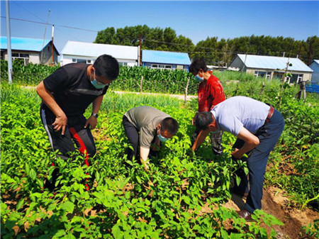 真情帮扶脱贫致富——记齐齐哈尔市国资委驻泰来县汤池镇伯大街村工作队