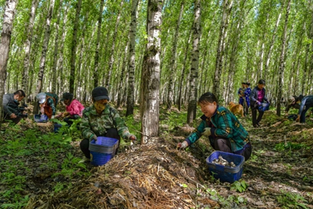 讷河中医院在扶贫工作中彰显医者仁心大爱