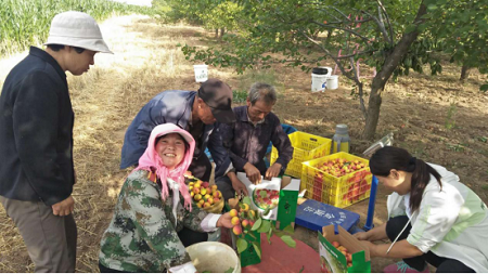 彭阳农户主动拥立010标准 &mdash;&mdash;加入土地修复产业升级快车道