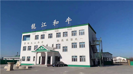 龙江和牛产业项目落户勃利