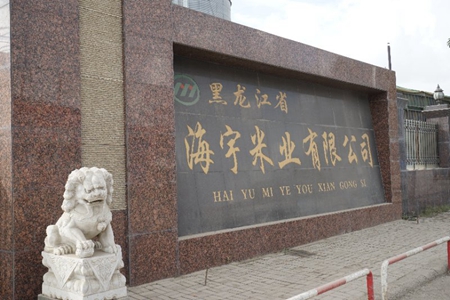 鹤岗市海宇米业“种植＋农户”经营模式让农民有获得感