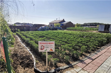 发展庭院经济 齐齐哈尔市梅里斯区特色产业铺就脱贫致富路