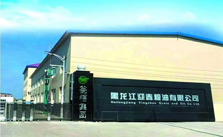 黑龙江迎春粮油：打造从田间到餐桌绿色大米产业链