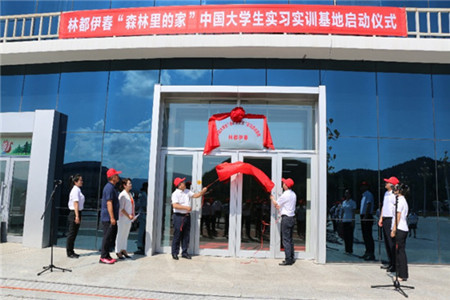放大招  重实锤  深拓展 &mdash;&mdash;伊春市创新打造中国大学生&ldquo;森林里的家&rdquo;实习实训基地