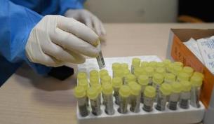 31省份新增确诊病例49例 其中本土病例33例