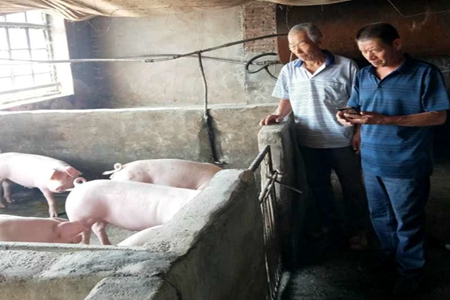 讷河：精准扶贫一个不能落下