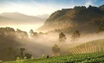 零时起，武汉防汛应急响应等级下调至Ⅲ级