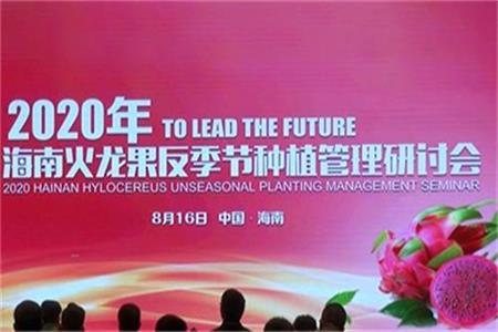 让海南品牌农业岛内开花岛外香