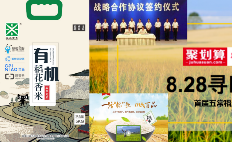 蚂蚁区块链＆区块链溯源