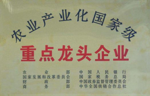 部委资金打包申报项目