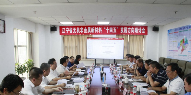 辽宁省新材料工程中心组织省内专家深入研讨“十四五”无机非金属新材料发展重点方向