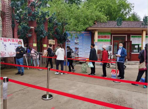 伊春市金林区：山回路转游金林 赏花洗肺九峰山