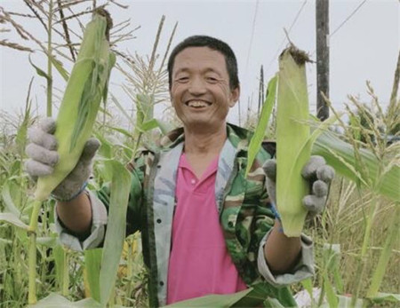 政府保障+村集体兜底 富裕县让贫困户无忧种小园促增收