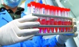 31省份新增确诊病例7例 均为境外输入病例