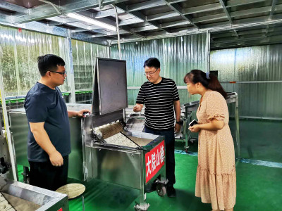 辉县环保助力企业走上产业扶贫的金光大道