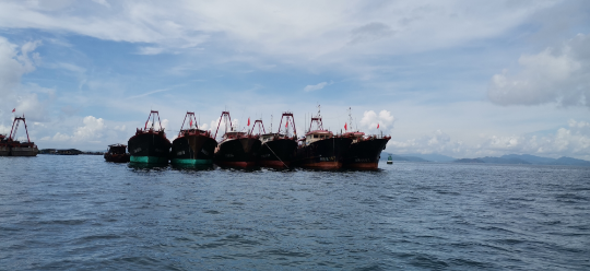 疫情下，600万传统渔民现在怎么样？