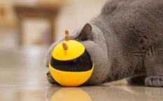 线上“云吸宠”经济崛起 行业年线上销售额超300亿