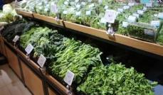 蔬菜供应有保障价格可望季节性下行