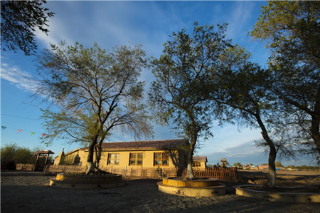 齐齐哈尔市梅里斯区打造乡村振兴的新起点