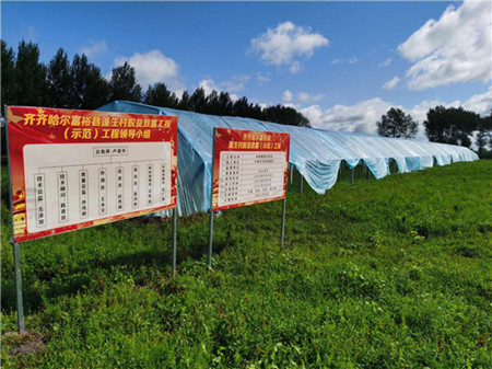 聚力庭院经济 富裕县打通消费扶贫创收路