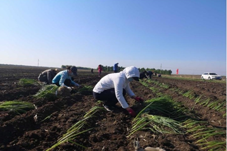 富乡村：党领导村民走上致富路