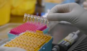 国家卫健委：9月24日新增确诊病例8例 均为境外输入