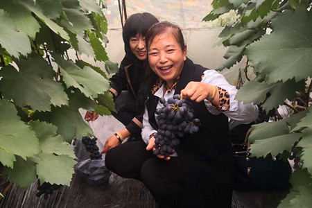 七台河市茄子河区四新村发展乡村旅游&ldquo;底气&rdquo;何来