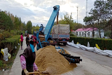 洪河农场：建立粮食销售“快车道”促新粮早变现
