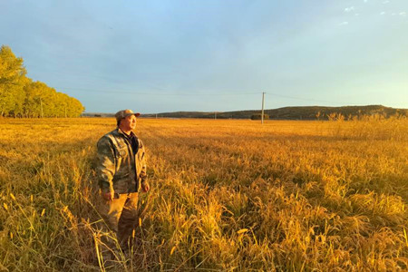 黑龙江嘉荫：稻菽飘香 丰收在望