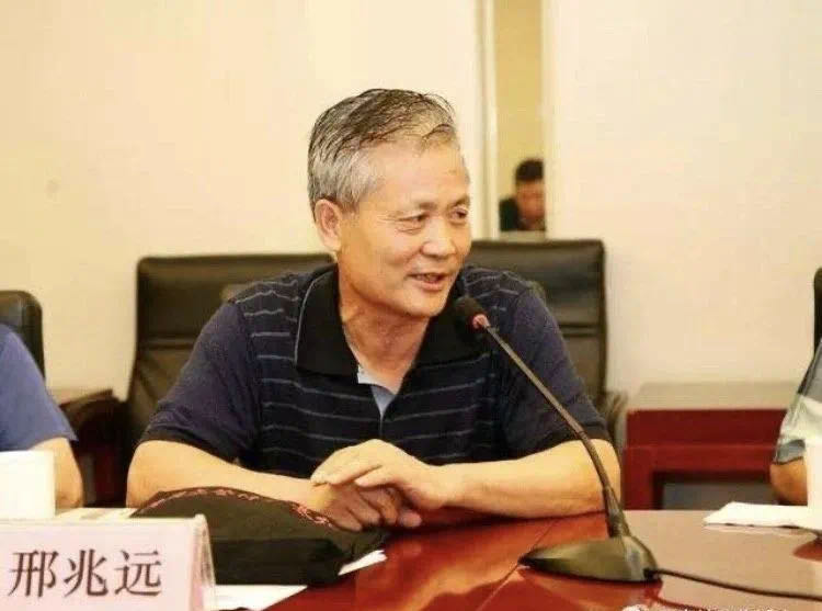 “木本”与“草根”